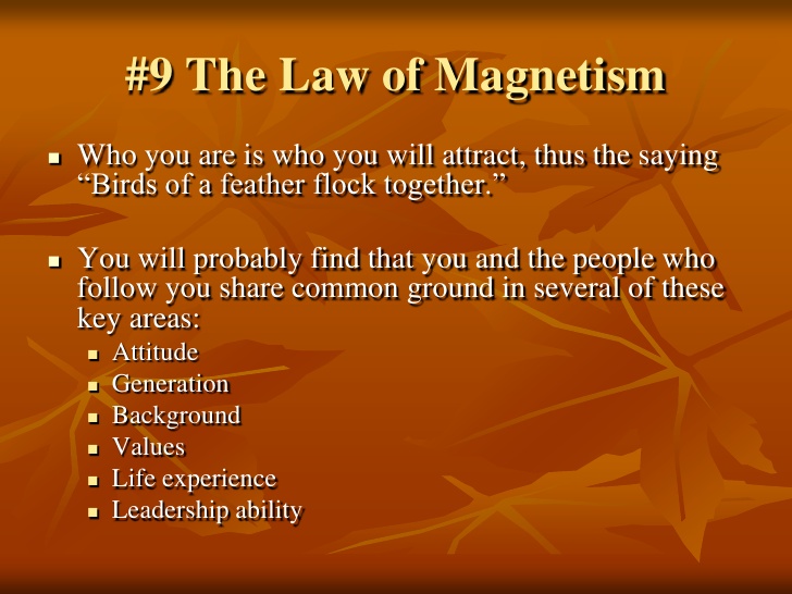 #9 Law of Magnetism